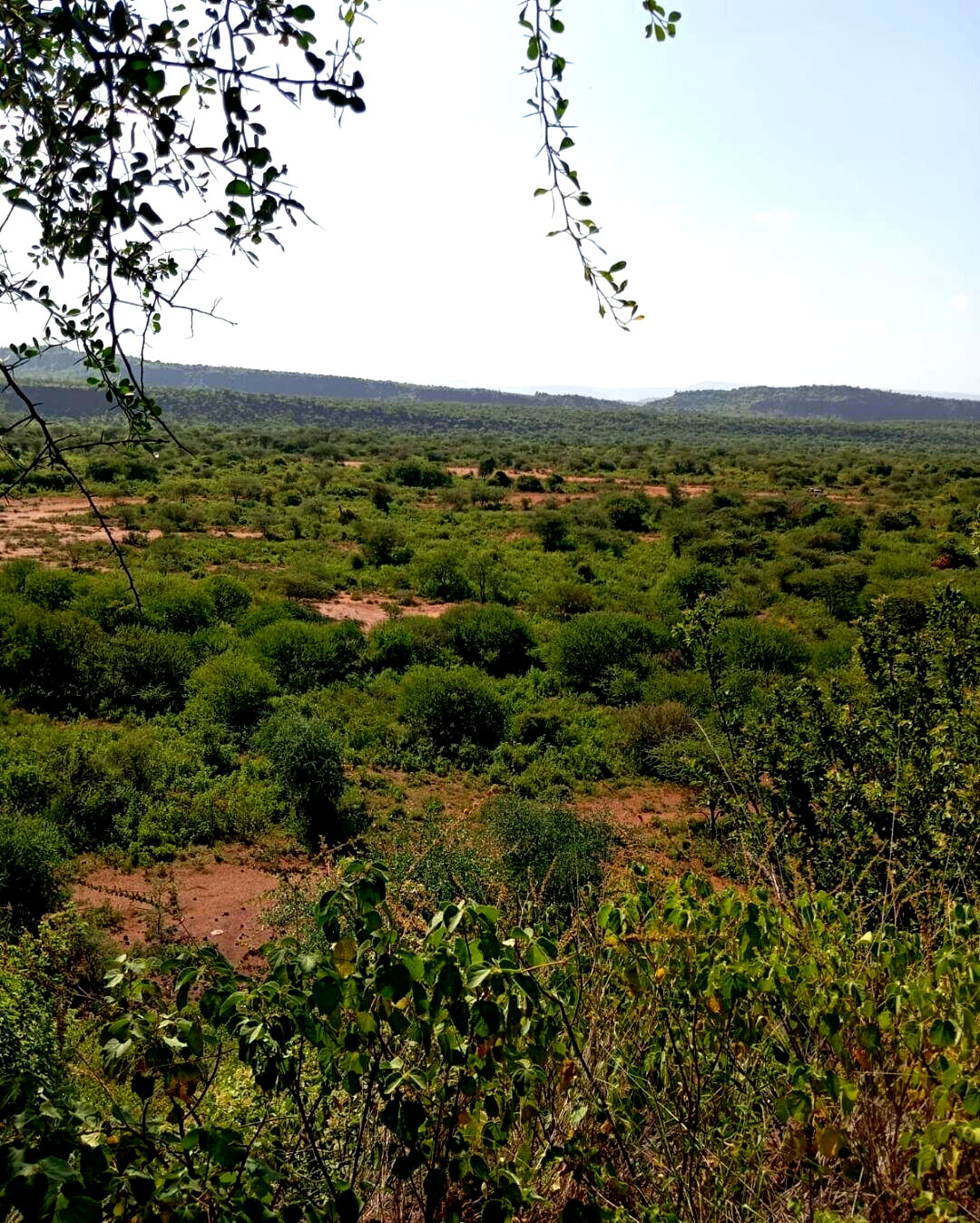 KSh 100K Plot in Kajiado CBD