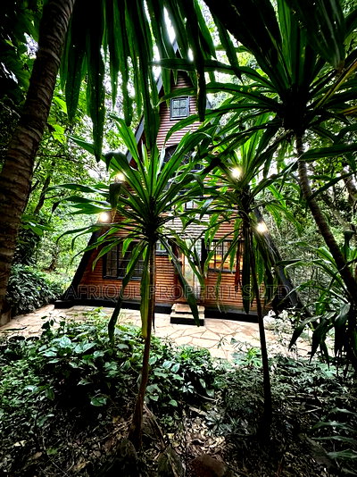 3bdrm House in Kiambu Road, Thindigua/Kasarini for rent - Image 12