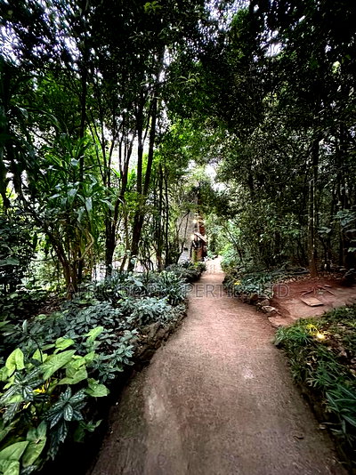 3bdrm House in Kiambu Road, Thindigua/Kasarini for rent - Image 11