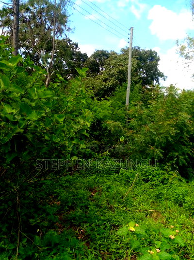 1/2 Acre Plot on Sale at Swikunda Area in Ukunda - Image 8