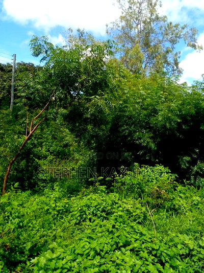 1/2 Acre Plot on Sale at Swikunda Area in Ukunda - Image 14