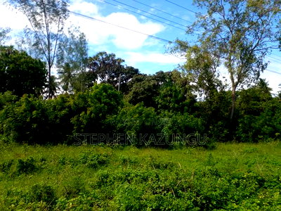 1/2 Acre Plot on Sale at Swikunda Area in Ukunda - Image 9
