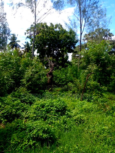 1/2 Acre Plot on Sale at Swikunda Area in Ukunda - Image 7