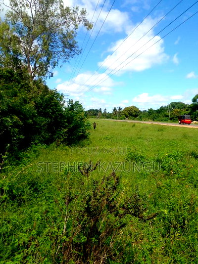 1/2 Acre Plot on Sale at Swikunda Area in Ukunda - Image 4