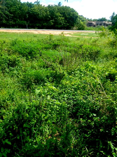 1/2 Acre Plot on Sale at Swikunda Area in Ukunda - Image 5