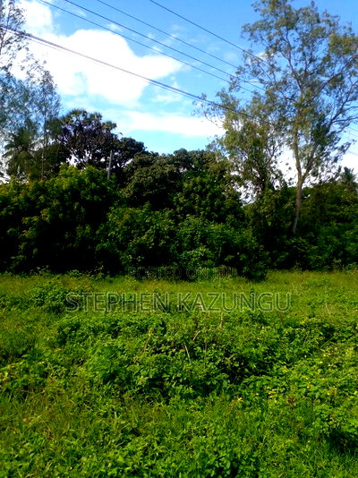 1/2 Acre Plot on Sale at Swikunda Area in Ukunda - Image 2
