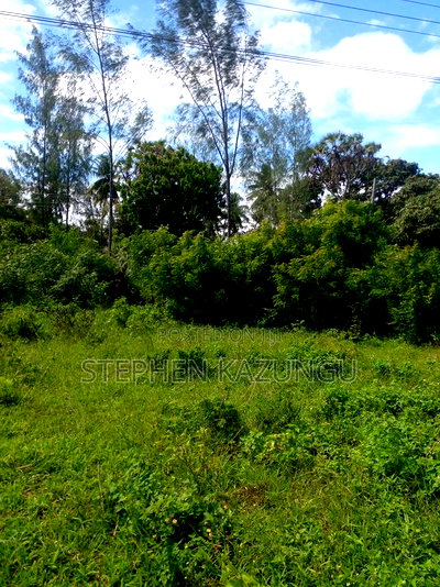 1/2 Acre Plot on Sale at Swikunda Area in Ukunda - Image 10