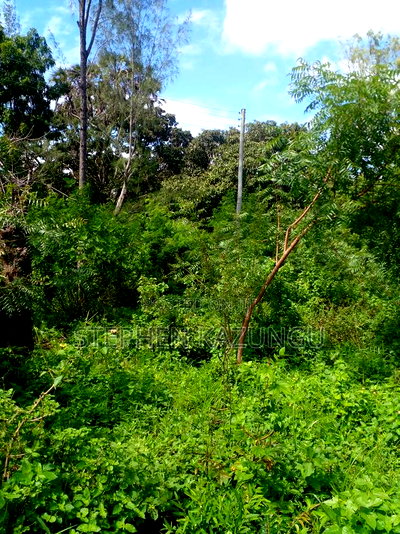 1/2 Acre Plot on Sale at Swikunda Area in Ukunda - Image 15