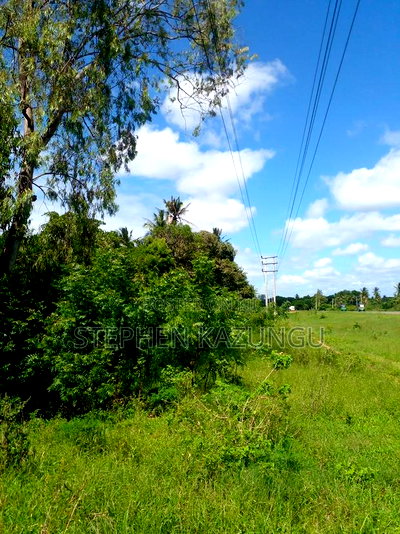 1/2 Acre Plot on Sale at Swikunda Area in Ukunda - Image 11