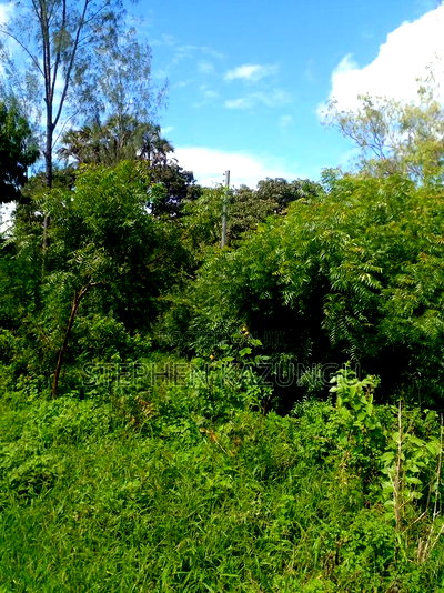 1/2 Acre Plot on Sale at Swikunda Area in Ukunda - Image 12