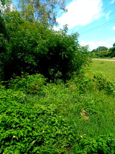 1/2 Acre Plot on Sale at Swikunda Area in Ukunda - Image 13