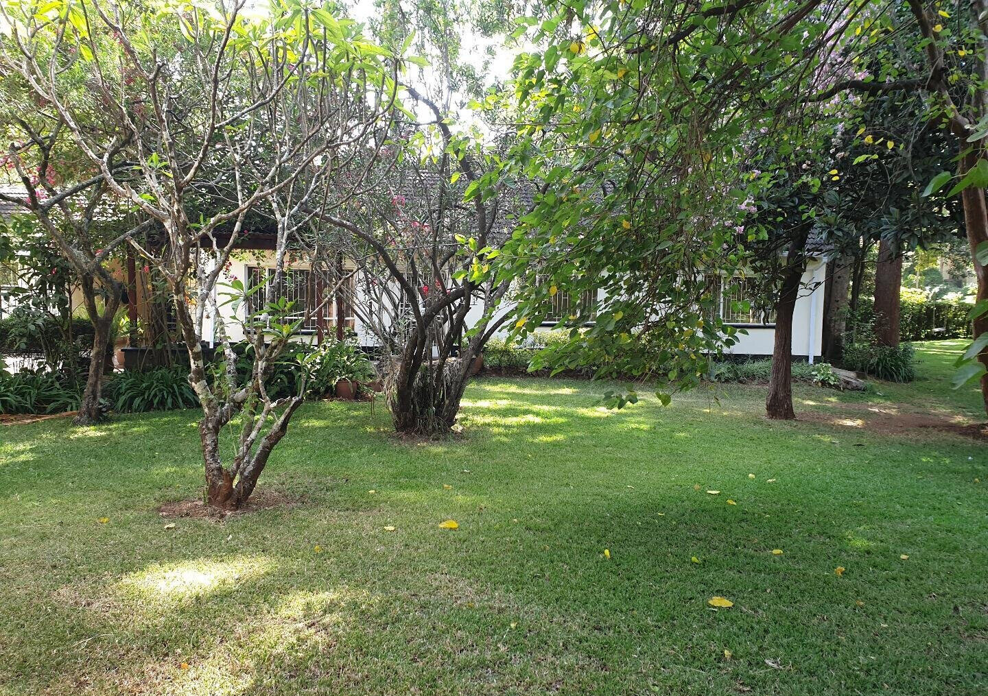 Garden Home at KSh 250K