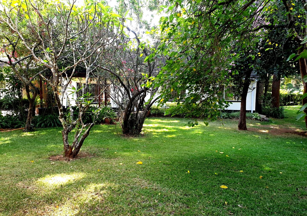 Garden Home at KSh 250K