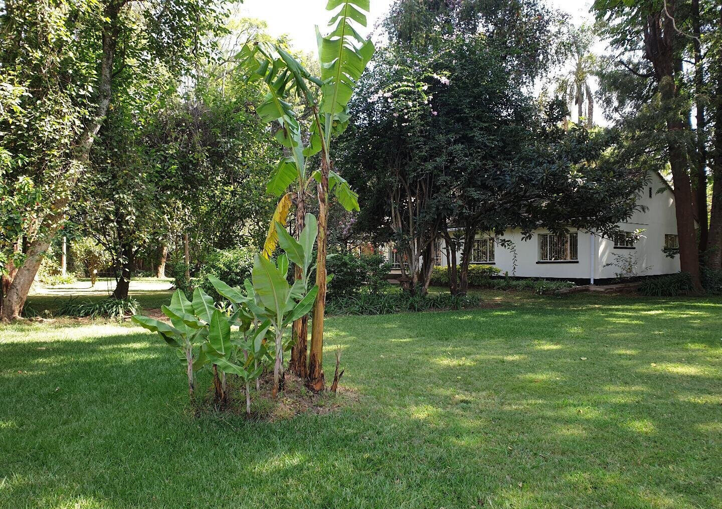 Garden Home at KSh 250K