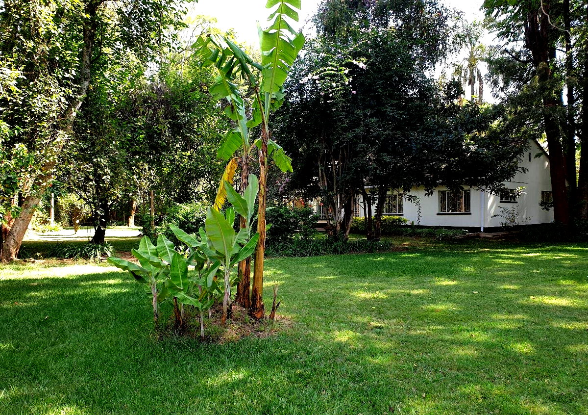 Garden Home at KSh 250K