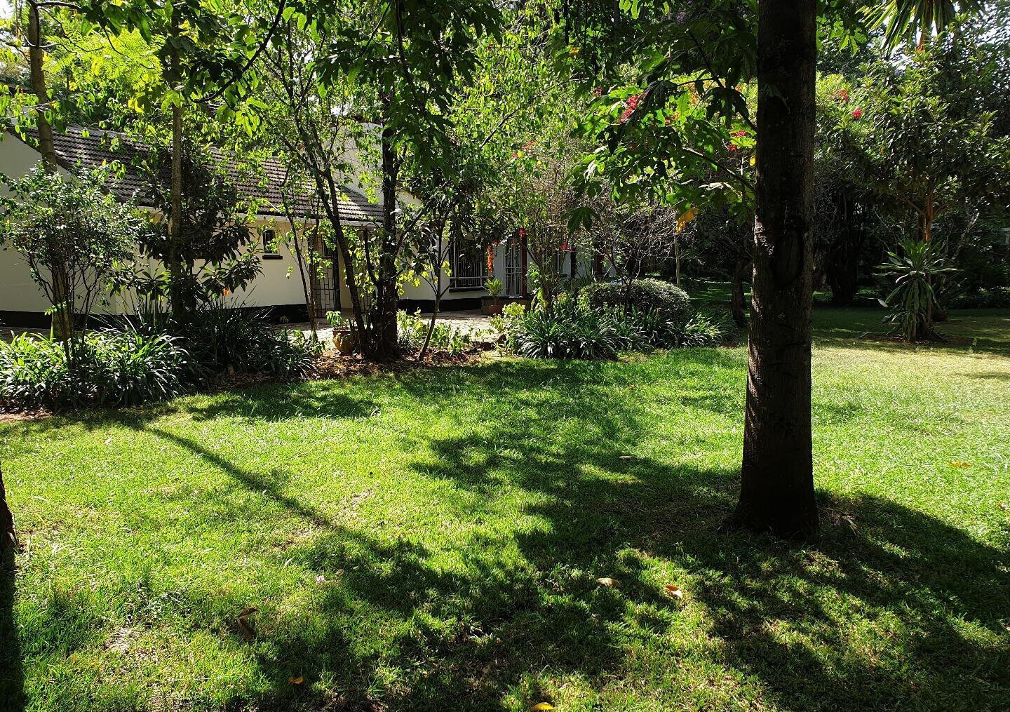 Garden Home at KSh 250K