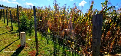 Commercial Plot Touching Houghway for Sale Eldoret Chepkanga - Image 2