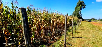 Commercial Plot Touching Houghway for Sale Eldoret Chepkanga - Image 4