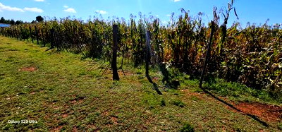 Commercial Plot Touching Houghway for Sale Eldoret Chepkanga - Image 3