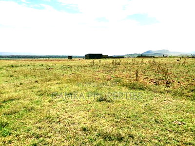 50 *100 Plots for Sale in Mwariki C - Image 1