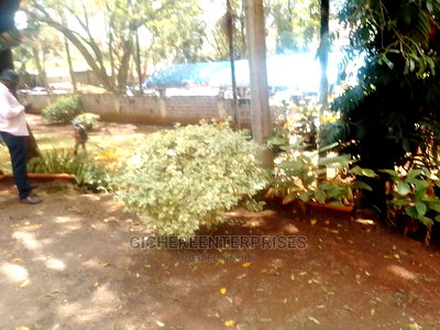 Waiyakiway - Image 1