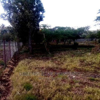 Kirarapion Diver Pot for Sell - Image 2