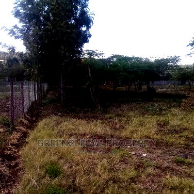 Kirarapion Diver Pot for Sell - Image 4