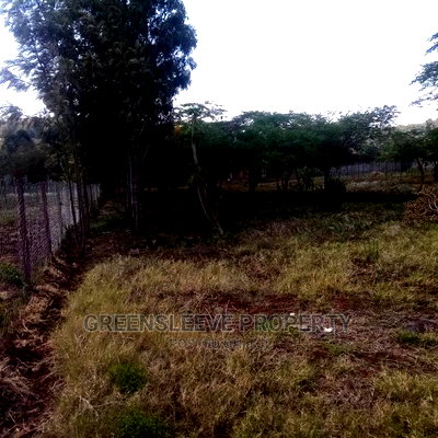 Kirarapion Diver Pot for Sell - Image 3