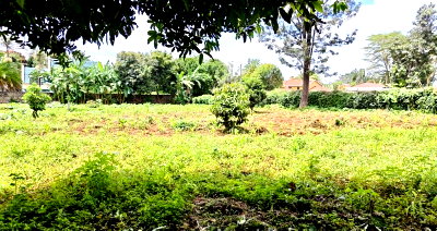 KSh 55M Garden Plot