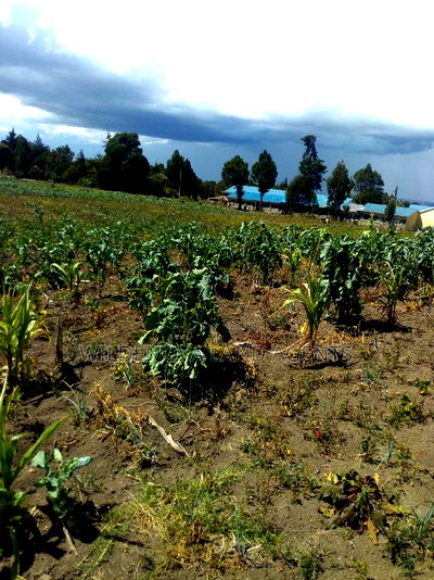 2 Acre on Sale at Naivasha Nyakairu - Image 3