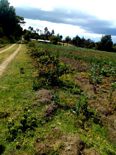 2 Acre on Sale at Naivasha Nyakairu - Image 1