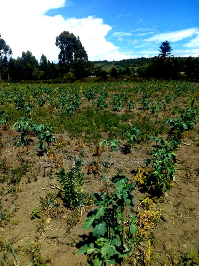 2 Acre on Sale at Naivasha Nyakairu - Image 10