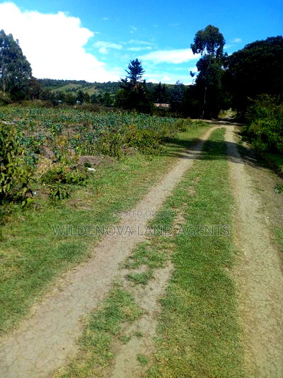 2 Acre on Sale at Naivasha Nyakairu - Image 2