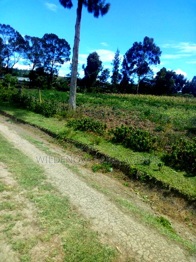 2 Acre on Sale at Naivasha Nyakairu - Image 7