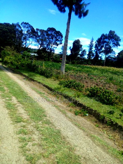 2 Acre on Sale at Naivasha Nyakairu - Image 4