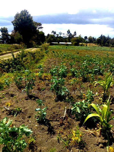 2 Acre on Sale at Naivasha Nyakairu - Image 8