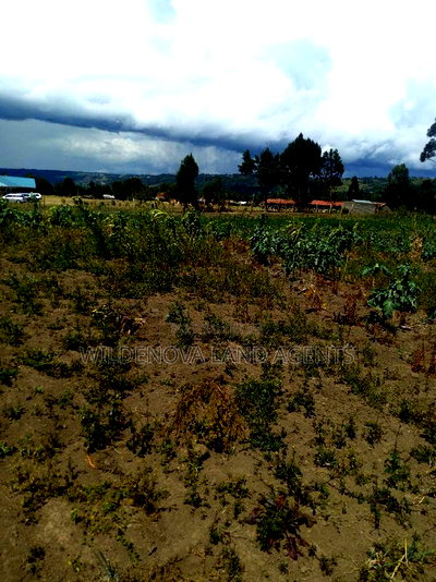 2 Acre on Sale at Naivasha Nyakairu - Image 9