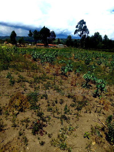 2 Acre on Sale at Naivasha Nyakairu - Image 5