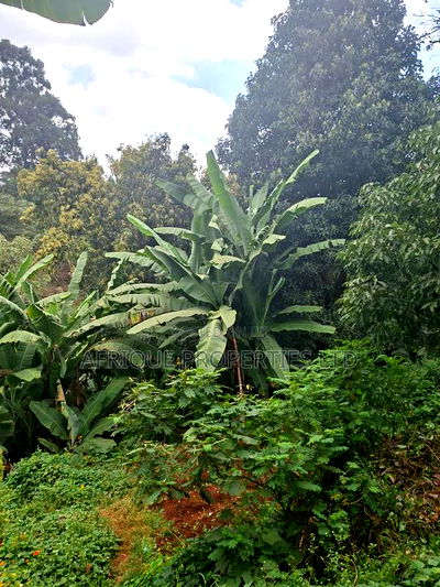 1 Acre for Sale in Loresho the Property Has a 4 Bedroom - Image 8