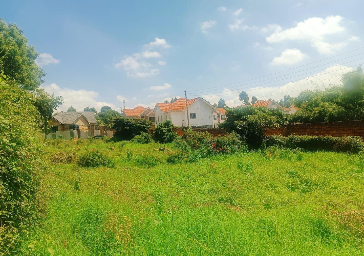 Quarter Acre Plot in Gikambura