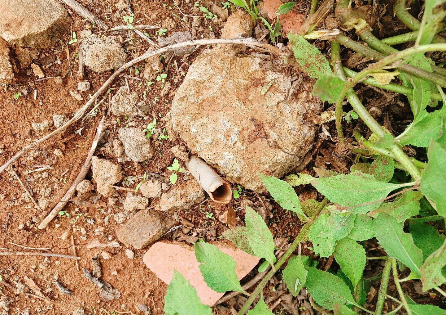 Quarter Acre Plot in Gikambura