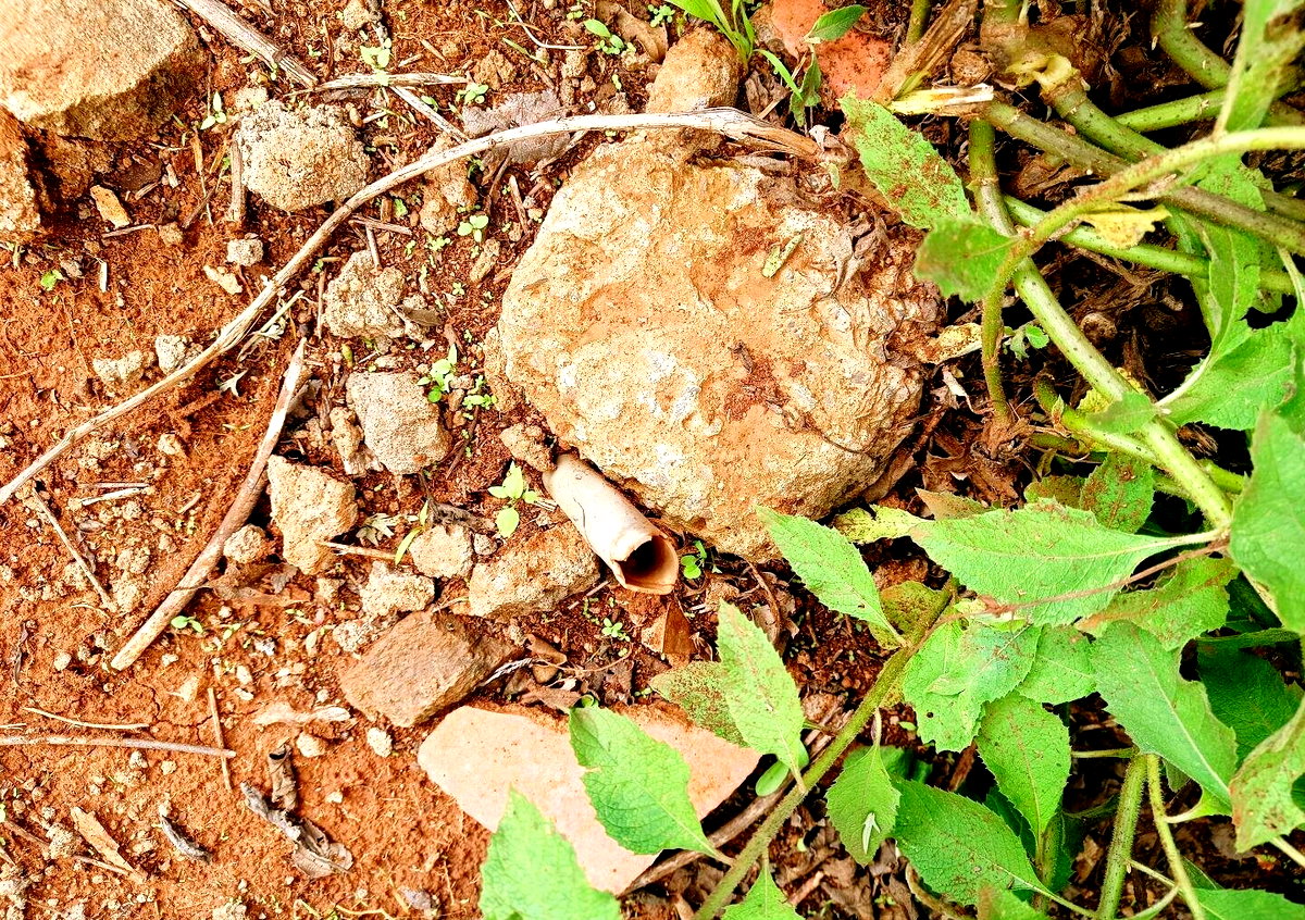 Quarter Acre Plot in Gikambura
