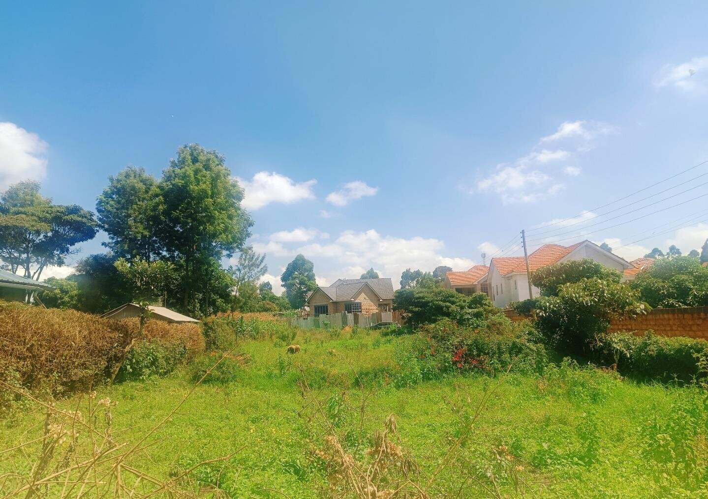 Quarter Acre Plot in Gikambura