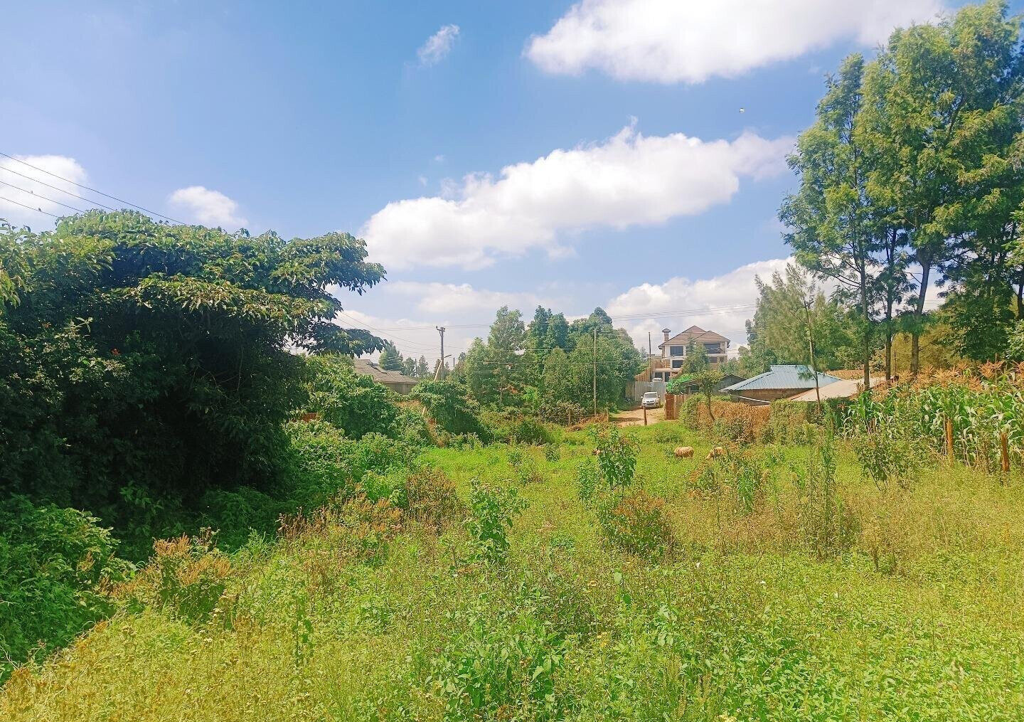 Quarter Acre Plot in Gikambura