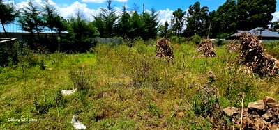 1/2 Acre for Sale Kipkenyo Eldoret - Image 7
