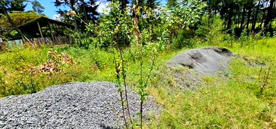 1/2 Acre for Sale Kipkenyo Eldoret - Image 6