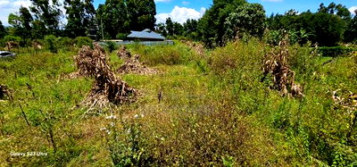 1/2 Acre for Sale Kipkenyo Eldoret - Image 4