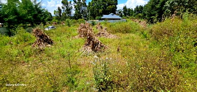 1/2 Acre for Sale Kipkenyo Eldoret - Image 2