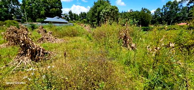 1/2 Acre for Sale Kipkenyo Eldoret - Image 3