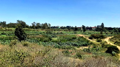 Commercial Land for Sale in Kasarani at Clay City - Image 1